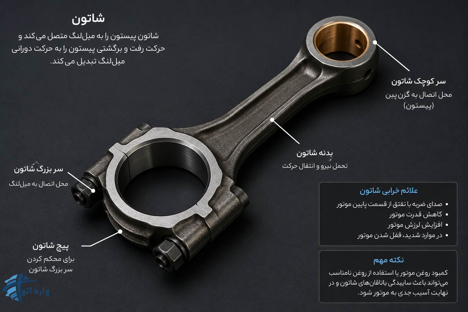 شاتون